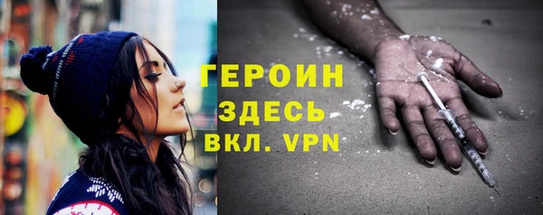 прущие грибы Елабуга