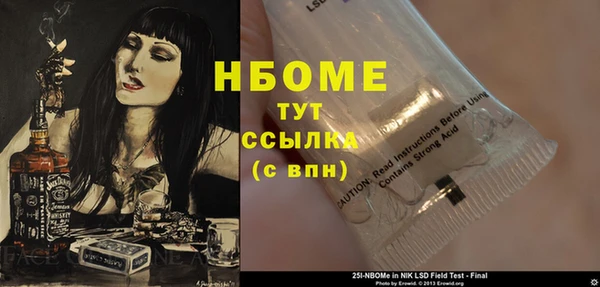 прущие грибы Елабуга
