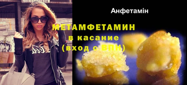 прущие грибы Елабуга