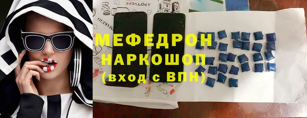 трава Ельня