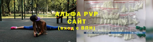 трава Ельня
