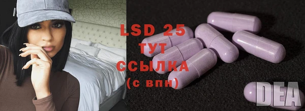трава Ельня