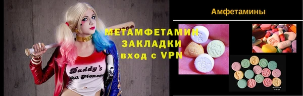 трава Ельня