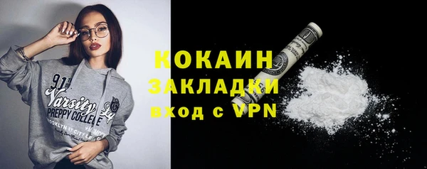 трава Ельня