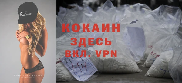 твердый Елизово