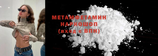 прущие грибы Елабуга