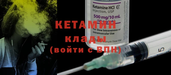 прущие грибы Елабуга