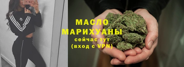 трава Ельня
