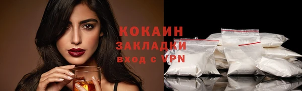 твердый Елизово