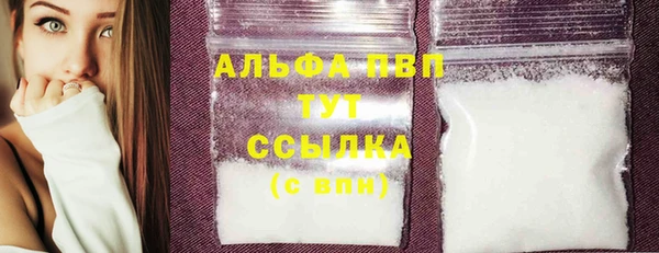трава Ельня