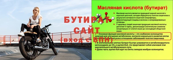 прущие грибы Елабуга