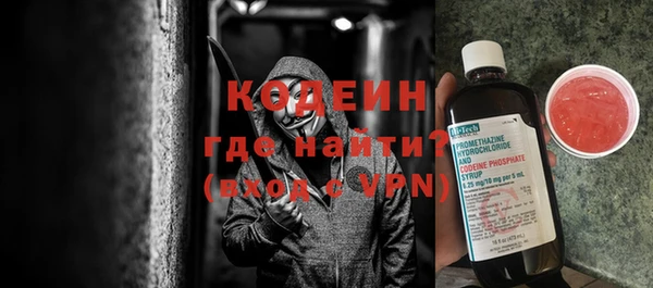 прущие грибы Елабуга