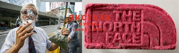 прущие грибы Елабуга