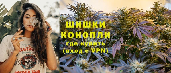 прущие грибы Елабуга