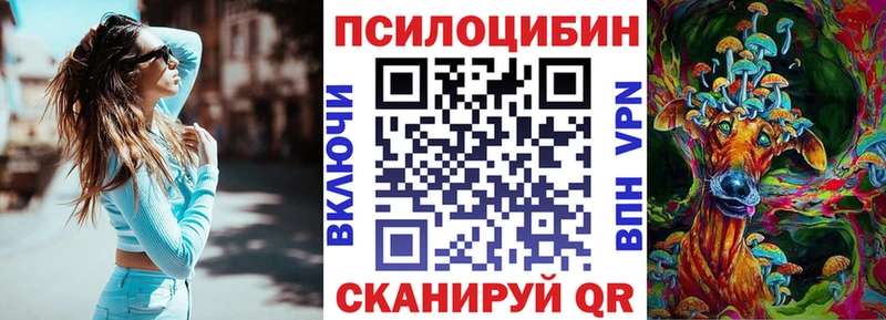 Купить закладки  Полесск  Псилоцибиновые грибы Psilocybe 